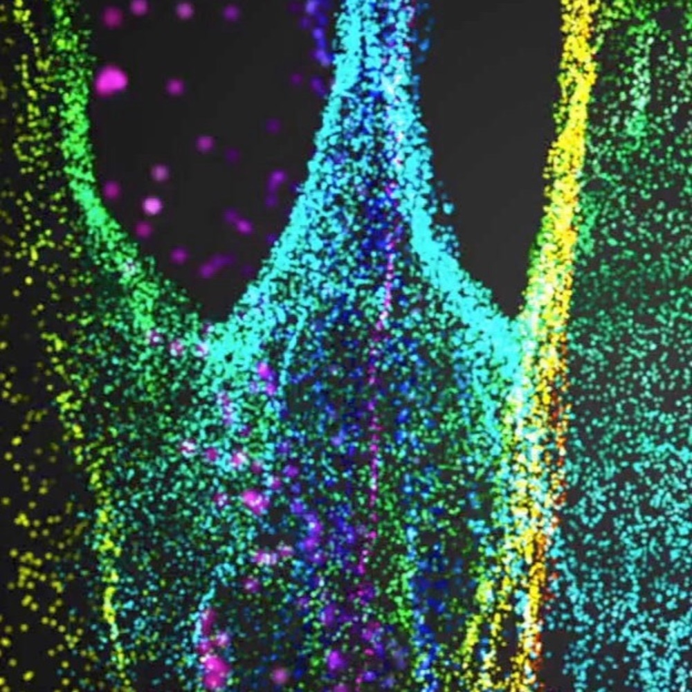 Meet your Posher, Jesse